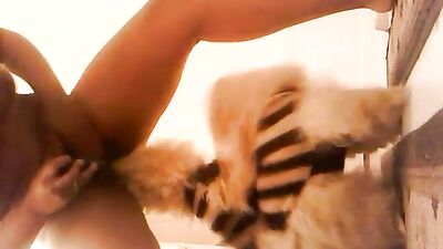 Two tiny dogs licking ebony pussy and ass