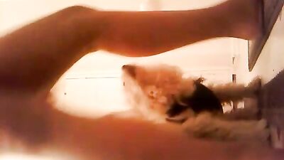 Two tiny dogs licking ebony pussy and ass