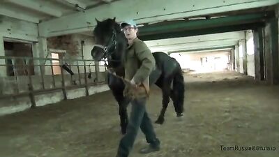 Team Russia Horse lovers
