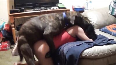 The dog fucks the girl doggy style