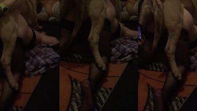 oddie 2