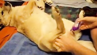 Playing with her toy, but she is my SEX TOY