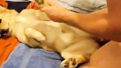 Playing with her toy, but she is my SEX TOY