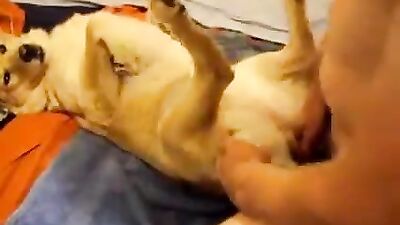 Playing with her toy, but she is my SEX TOY