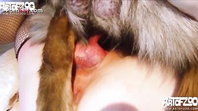 Teen slackers get pounded by mutts