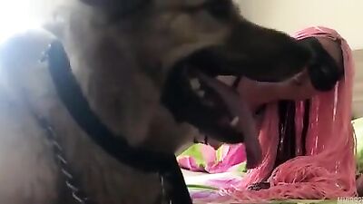 red-haired bitch is filled with a dog