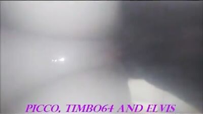 Picco được nuôi bởi Elvis