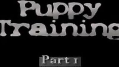 Puppy training
