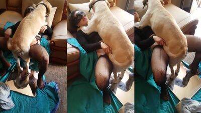 Teen Pet Slut Swallows His Knot