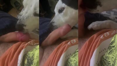lickB