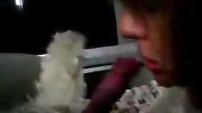 Horny Wife Blowing Dog while Husband Filming