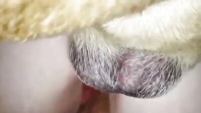 Horny gf taking bf and Doggy Same Time