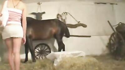 Horse Porn
