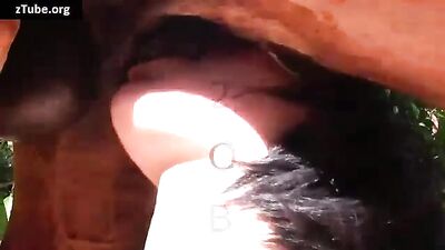 Horse Fucking Brutal Chubby Bareback Bukkake