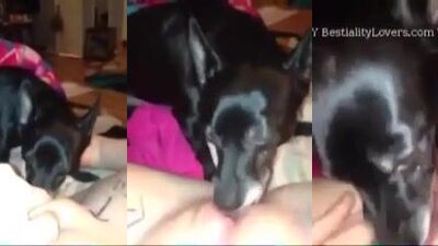 GOOD LICK CLIT