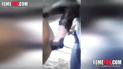 Horse Creampie