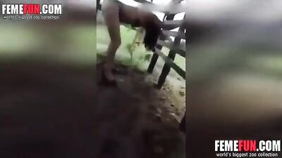 Horse Creampie