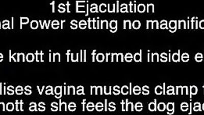 Elise X-Ray