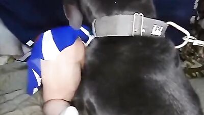 Fuck me hard dog