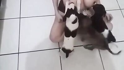 Dog breastfeeding milk 6