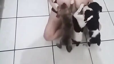 Dog breastfeeding milk 6