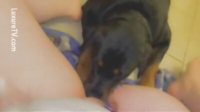 Pervy Dad Licks Puppies, Then Fucks Teen Daughters Wet Cunt