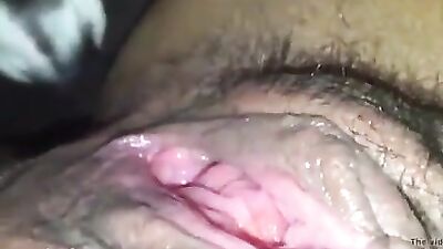 Puppys tongue worships primed pussy