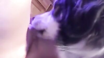 Sneaky Dog Licks Teens Tight Pussy & Swallows Cum