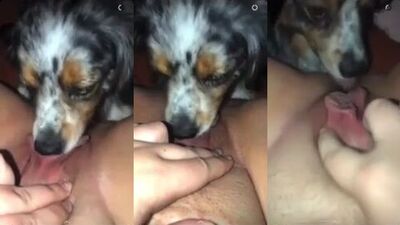 Dog lick deep