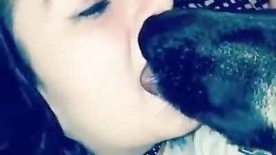 Dog Kissing