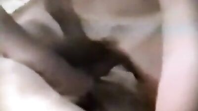 Dog breastfeeding milk 5
