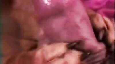 cock licked by doggy
