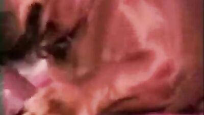cock licked by doggy