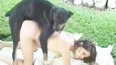 Hot Brazilian, giving treatment to the little dog