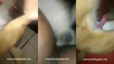 Black girl getting fucked by dog 2