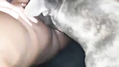 Black pussy getting licked