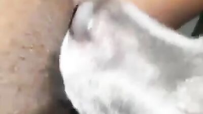 Black pussy getting licked