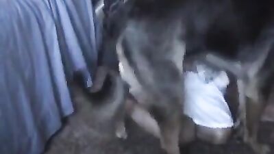 Blindfolded Wife gets a Treat