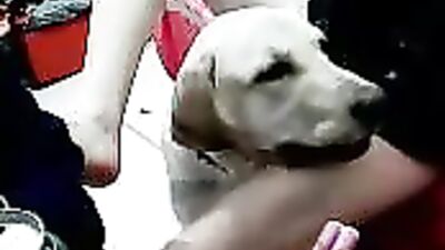 Chinese woman and dog 4