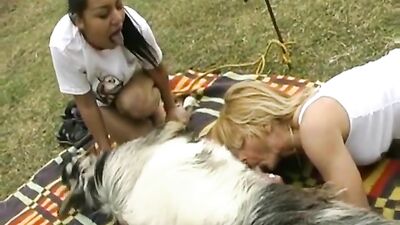 amigas mamando cachorro-two girl try suck dog