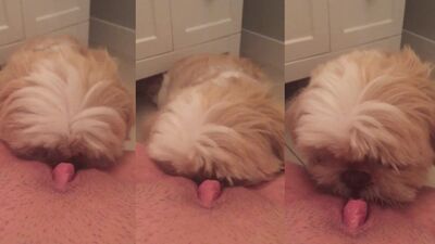 Bathroom lick