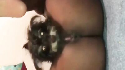 dog sucking young