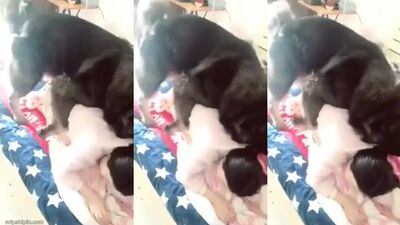Chinese milf play with dog 2