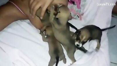 Milk for puppys 5
