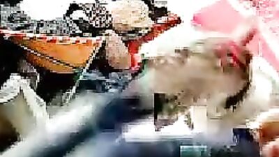 Chinese woman and dog 3