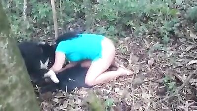 Forest fun