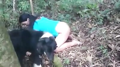 Forest fun