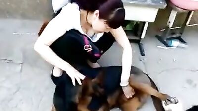 Chinese masturbate dog