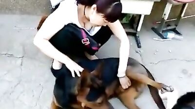 Chinese masturbate dog
