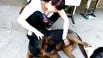 Chinese masturbate dog
